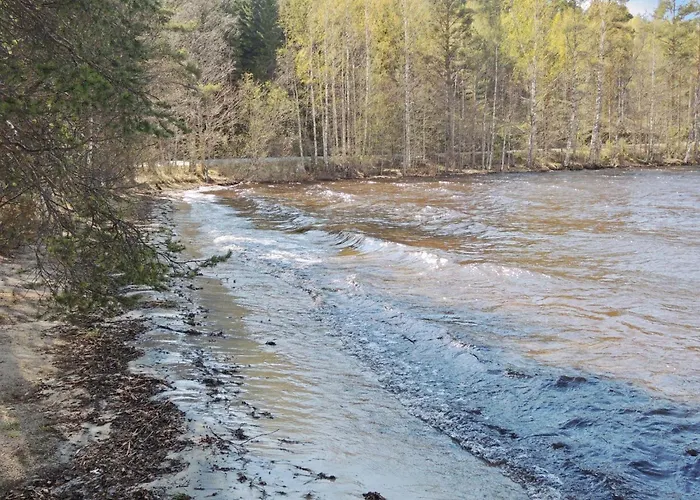 Maunonlahti By Interhome * Hattusaari